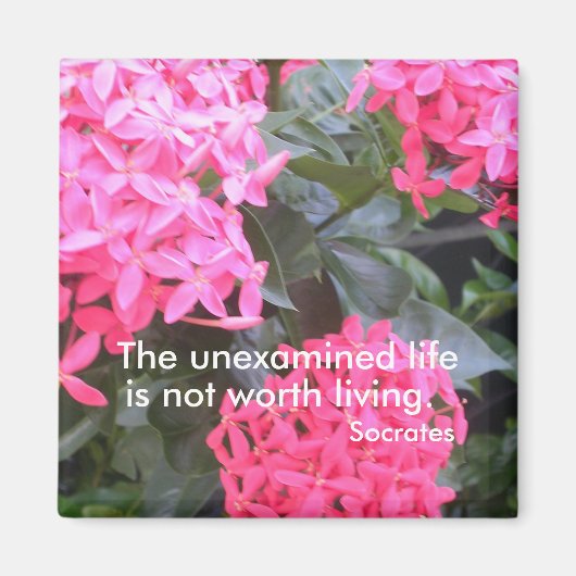 Sokrates - Motivierend Quotationsmagazin Magnet (Vorne)