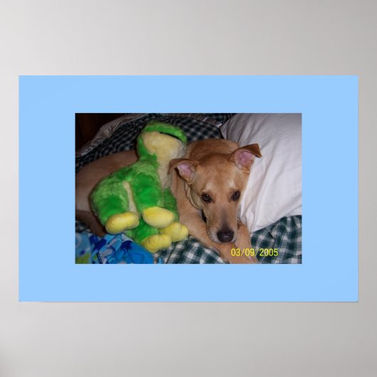 Sokrates Poster (Vorne)