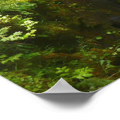 Sol Duc Falls I at Olympic National Park Poster (Ecke)