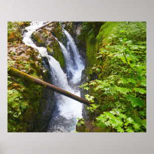 Sol Duc Falls I im Olympic-Nationalpark Poster