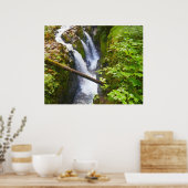 Sol Duc Falls I im Olympic-Nationalpark Poster (Küche)