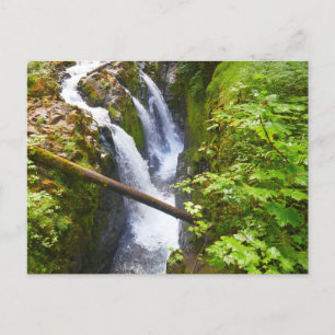 Sol Duc Falls I im Olympic-Nationalpark Postkarte