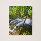 Sol Duc Falls I im Olympic-Nationalpark Puzzle (Vertikal)