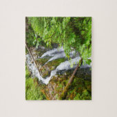 Sol Duc Falls II im Olympic-Nationalpark Puzzle (Vertikal)