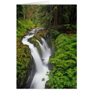 Sol Duc Falls im Olympic National Park in
