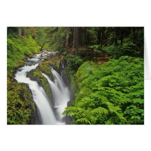 Sol Duc Falls im Olympic National Park in 2