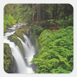 Sol Duc Falls im Olympic National Park in 2 Quadratischer Aufkleber