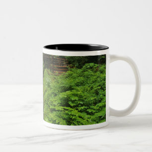 Sol Duc Falls im Olympic National Park in 2 Zweifarbige Tasse