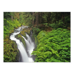 Sol Duc Falls im Olympic National Park in Fotodruck