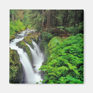 Sol Duc Falls im Olympic National Park in Magnet