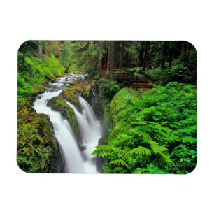 Sol Duc Falls im Olympic National Park in Magnet