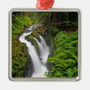 Sol Duc Falls im Olympic National Park in Ornament Aus Metall