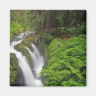 Sol Duc Falls im Olympic-Nationalpark in 2 Magnet