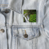 Sol Duc Falls in Olympic National Park 2 Button (Beispiel)