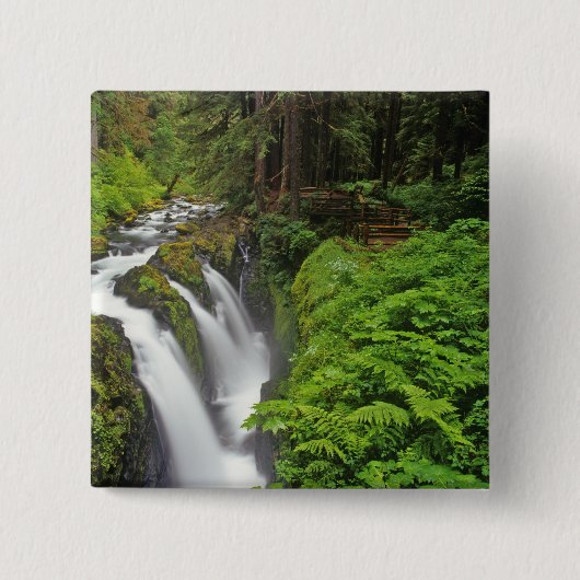 Sol Duc Falls in Olympic National Park 2 Button (Vorderseite)