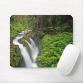 Sol Duc Falls in Olympic National Park 2 Mousepad (Mit Mouse)