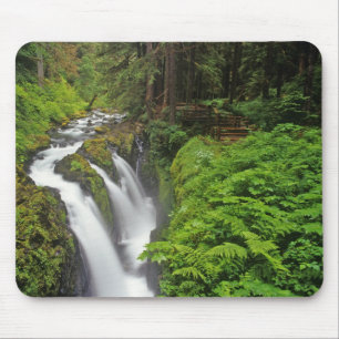 Sol Duc Falls in Olympic National Park 2 Mousepad