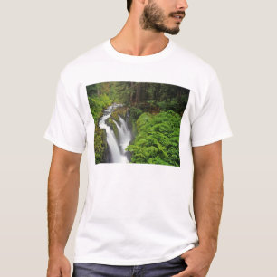 Sol Duc Falls in Olympic National Park 2 T-Shirt