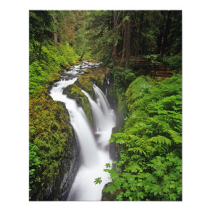 Sol Duc Falls in Olympic National Park in 2 Fotodruck
