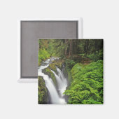 Sol Duc Falls in Olympic National Park in 2 Magnet (Vorderseite/Rückseite)