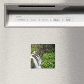 Sol Duc Falls in Olympic National Park in 2 Magnet (In Situ (Geschirrspüler))