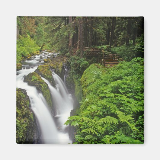 Sol Duc Falls in Olympic National Park in 2 Magnet (Vorne)