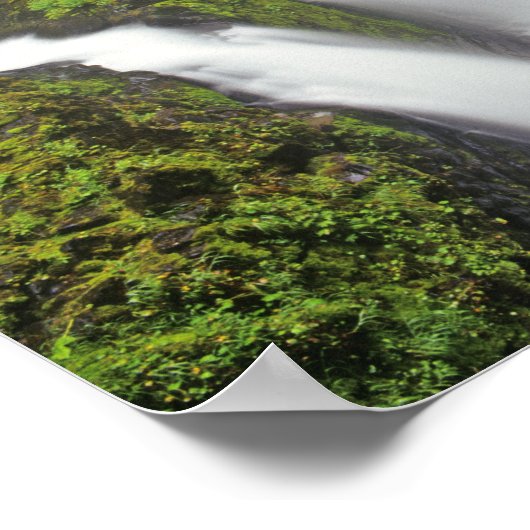 Sol Duc Falls in Olympic National Park in 2 Poster (Ecke)