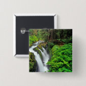 Sol Duc Falls in Olympic National Park in Button (Vorne & Hinten)