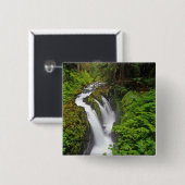 Sol Duc Falls in Olympic National Park in Button (Vorne & Hinten)