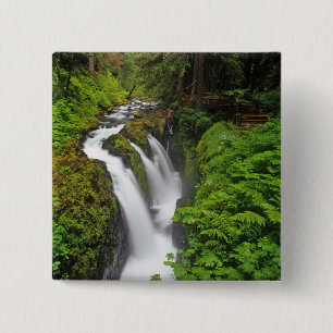 Sol Duc Falls in Olympic National Park in Button