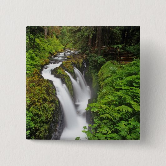 Sol Duc Falls in Olympic National Park in Button (Vorderseite)