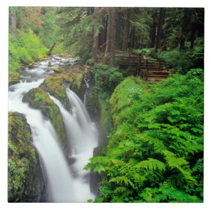 Sol Duc Falls in Olympic National Park in Fliese