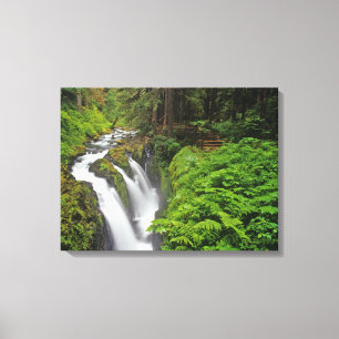 Sol Duc Falls in Olympic National Park in Leinwanddruck