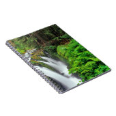 Sol Duc Falls in Olympic National Park in Notizblock (Rechte Seite)