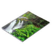 Sol Duc Falls in Olympic National Park in Notizblock (Linke Seite)