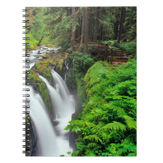 Sol Duc Falls in Olympic National Park in Notizblock (Vorderseite)
