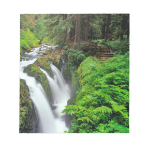 Sol Duc Falls in Olympic National Park in Notizblock