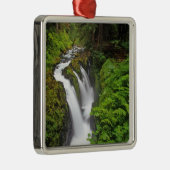Sol Duc Falls in Olympic National Park in Ornament Aus Metall (Rechts)