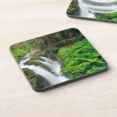 Sol Duc Falls in Olympic National Park in Untersetzer (Linke Seite)