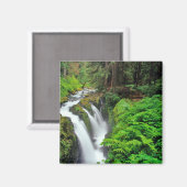 Sol Duc Falls in Olympic National Park Magnet (Vorderseite/Rückseite)