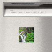 Sol Duc Falls in Olympic National Park Magnet (In Situ (Geschirrspüler))