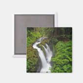 Sol Duc Falls in Olympic National Park Magnet (Vorderseite/Rückseite)