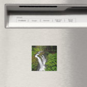 Sol Duc Falls in Olympic National Park Magnet (In Situ (Geschirrspüler))