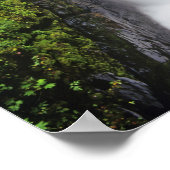 Sol Duc Falls in Olympic National Park Poster (Ecke)