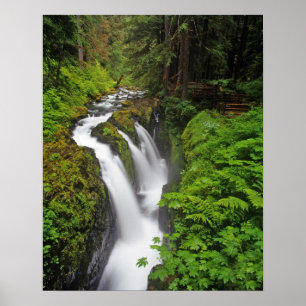 Sol Duc Falls in Olympic National Park Poster