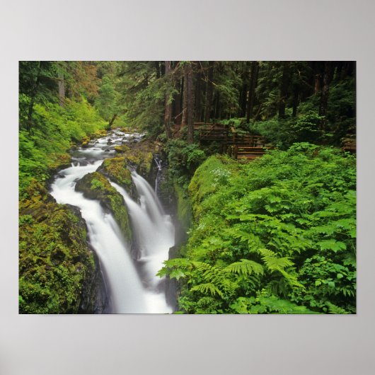 Sol Duc Falls in Olympic National Park Poster (Vorne)