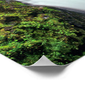 Sol Duc Falls in Olympic National Park Poster (Ecke)