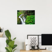 Sol Duc Falls in Olympic National Park Poster (Heimbüro)