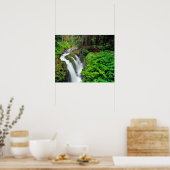 Sol Duc Falls in Olympic National Park Poster (Küche)