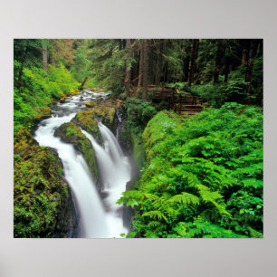 Sol Duc Falls in Olympic National Park Poster